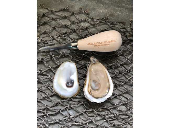 Canadian Choice Oyster - 25 count